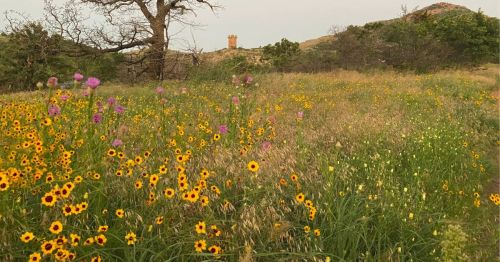 Jed Johnson Trail in Oklahoma