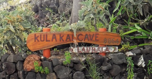 Wooden sign for Kula Kai Cave, featuring the cave name and number 8864, surrounded by greenery and rocks.