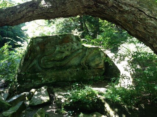 A large, moss-covered rock partially hidden by trees and foliage, with a tree branch arching overhead.