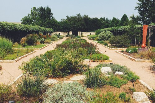 A serene garden with pathways, lush greenery, and various plants under a clear sky.