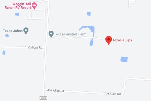 Map showing location of Texas-Tulips near Texas-Fairytale Farm and Waggin' Tail Ranch RV Resort in Texas.