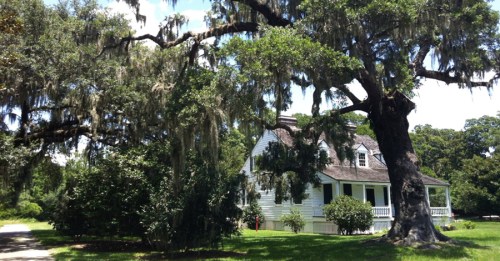 A charming white house surrounded by lush greenery and a large tree draped in Spanish moss.