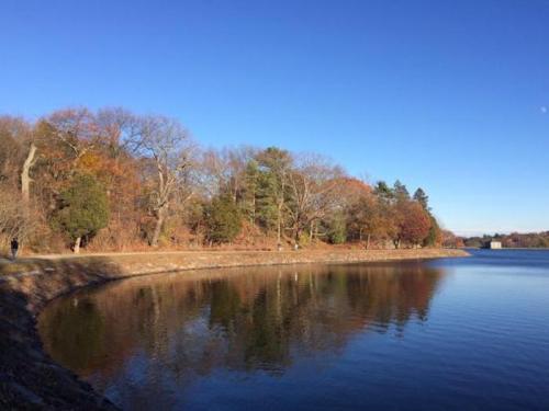 A serene lake surrounded by trees in autumn, reflecting the clear blue sky and colorful foliage.