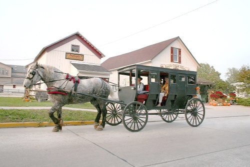 A horse-drawn carriage travels down a street near a rustic building, surrounded by autumn decorations.