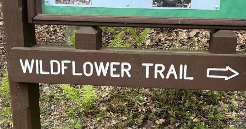 A wooden sign for a wildflower trail in New Jersey