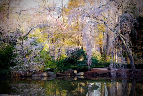 8 Most Beautiful Places To Visit During Spring In Alabama