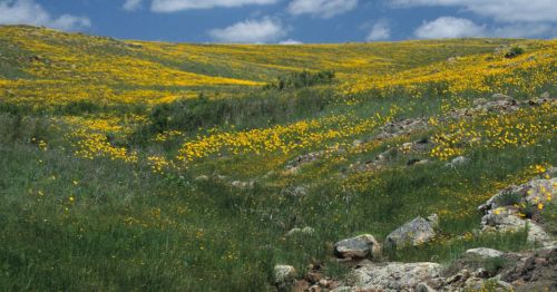 Jed Johnson Trail in Oklahoma