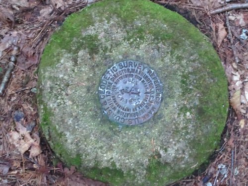 A metal survey marker embedded in a moss-covered stone, surrounded by fallen leaves and forest debris.