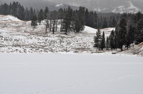 A snowy landscape with a frozen lake, surrounded by evergreen trees and distant hills under a cloudy sky.