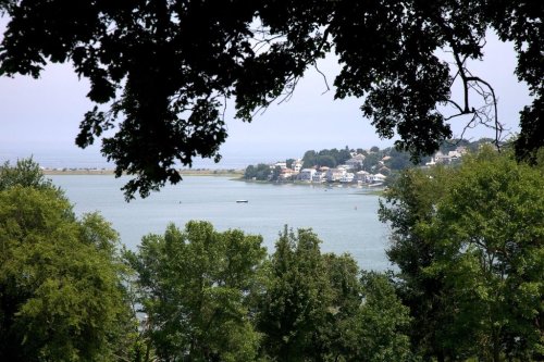A serene view of a lake framed by trees, with a distant shoreline and houses visible across the water.