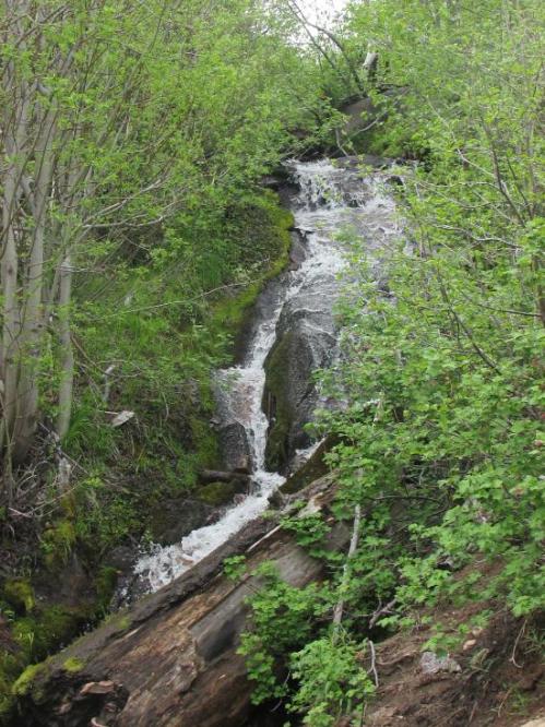 A small waterfall cascades down rocky terrain, surrounded by lush green foliage and trees.