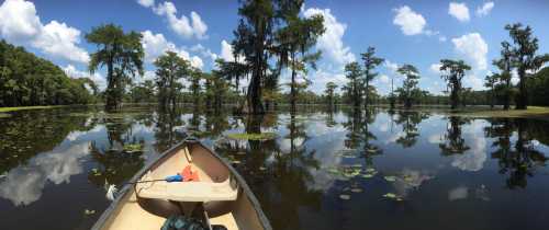 A canoe on calm water surrounded by cypress trees and lily pads under a bright blue sky with fluffy clouds.