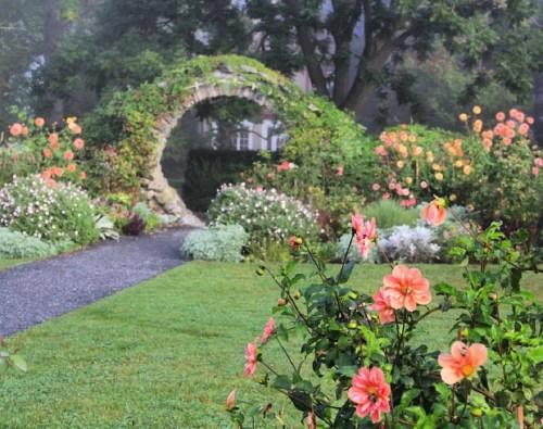 A misty garden with vibrant flowers and a stone archway covered in greenery, creating a serene atmosphere.