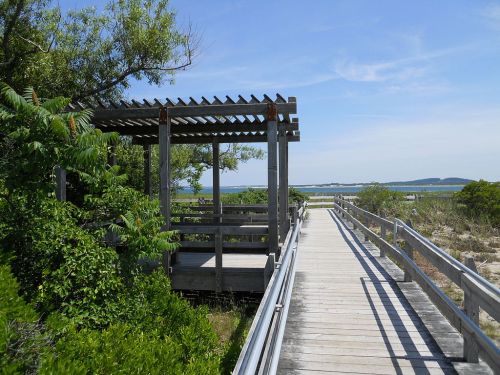 A wooden boardwalk leads to a shaded viewing platform surrounded by greenery and a scenic view of the water.