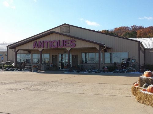 A large building with a sign reading "ANTIQUE" in purple, surrounded by pumpkins and autumn decorations.