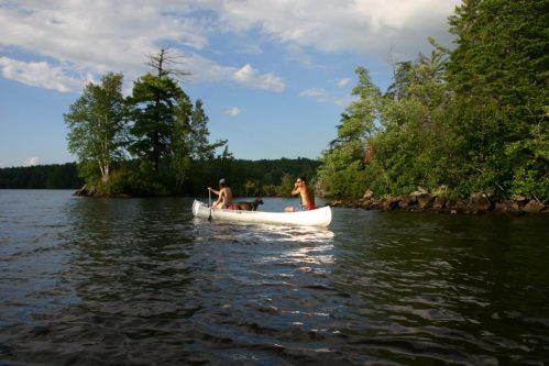 Two people and a dog in a canoe on a calm lake, surrounded by trees and a clear blue sky.