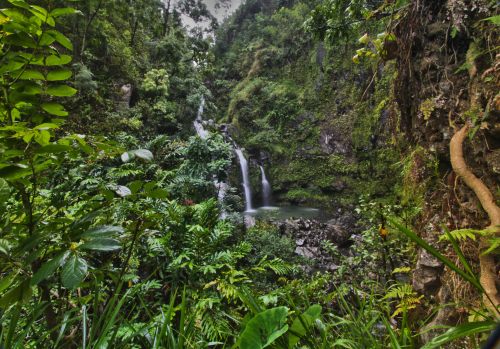 Lush green foliage surrounds a serene waterfall cascading into a tranquil pool in a tropical forest.