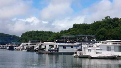 A row of houseboats docked along a calm lake, surrounded by green trees and a partly cloudy sky.