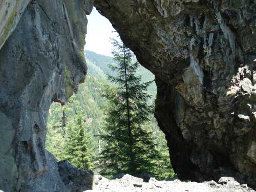 A view through a rocky archway, showcasing a tall tree surrounded by lush green mountains and forest.