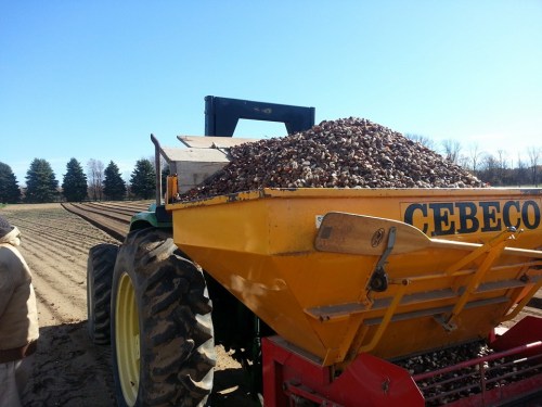 A tractor with a yellow trailer filled with harvested potatoes in a field under a clear blue sky.