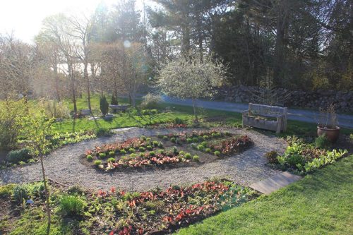 A serene garden with a winding path, colorful plants, and a wooden bench surrounded by trees and greenery.