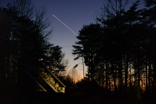 A twilight scene with silhouetted trees and a starry sky, featuring light trails from an airplane above.