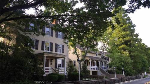 A row of charming houses with greenery and trees lining the street, creating a peaceful suburban atmosphere.