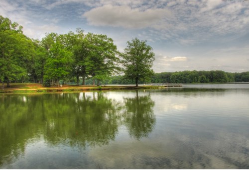A serene lake surrounded by lush green trees, reflecting the sky and foliage in calm waters.