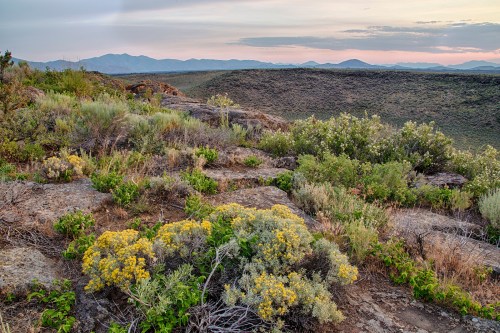 A scenic view of rocky terrain with wildflowers and shrubs, overlooking rolling hills and distant mountains at sunset.