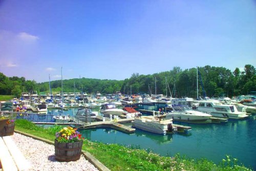 A scenic marina filled with various boats, surrounded by lush greenery and a clear blue sky.