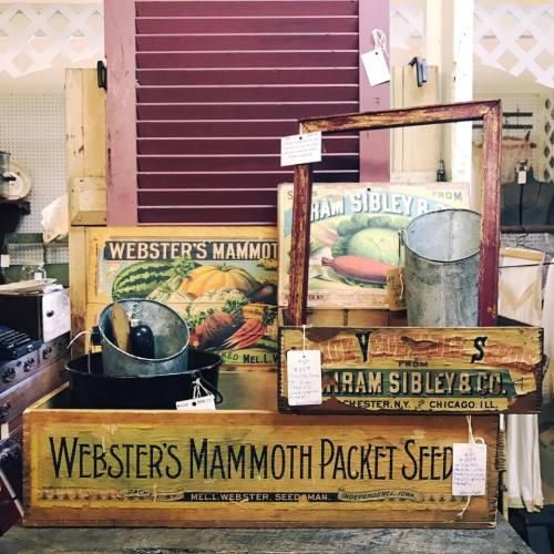 Vintage seed packets and metal containers displayed against a rustic backdrop with wooden shutters.