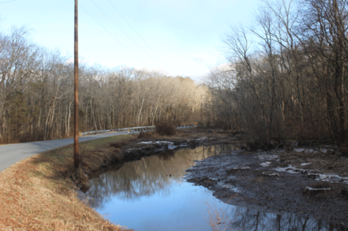 A quiet road beside a shallow, reflective stream surrounded by bare trees and grassy banks under a clear sky.