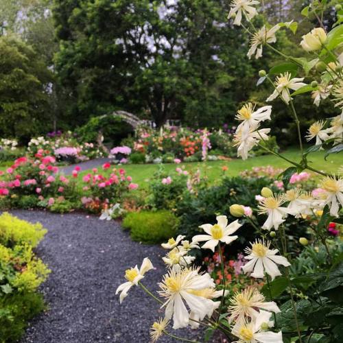 A vibrant garden filled with colorful flowers and lush greenery, creating a serene and picturesque landscape.