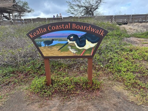 Sign for Keālia Coastal Boardwalk featuring an illustration of birds and a scenic view. Lush greenery surrounds the area.