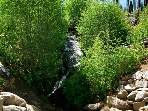 A small waterfall cascades through lush green foliage, surrounded by rocks and trees in a serene natural setting.