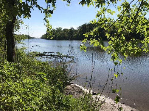 A serene river scene framed by green leaves and plants, with calm water reflecting the clear blue sky.