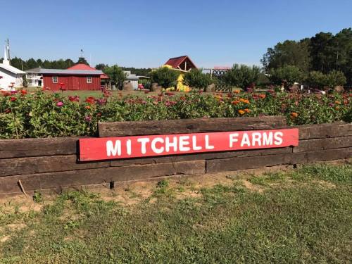 A wooden sign reading "MITCHELL FARMS" in red, surrounded by colorful flowers and a clear blue sky.
