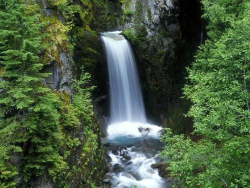 A serene waterfall cascades down rocky cliffs, surrounded by lush green trees and vibrant foliage.