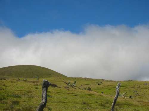 A grassy landscape with a hill, scattered vegetation, and a blue sky partially covered by clouds.