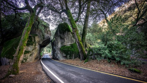 A winding road passes through a natural rock arch, surrounded by lush greenery and trees.