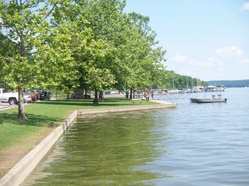 A serene lakeside view with green trees, a grassy area, and boats docked along the water's edge under a clear blue sky.