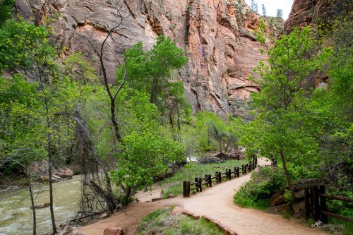 A scenic trail winds through lush greenery and rocky cliffs beside a flowing river in a canyon.