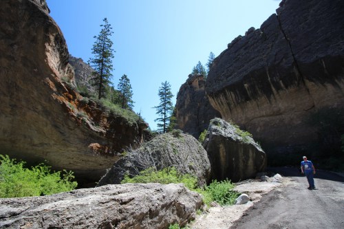 A person stands on a road surrounded by towering rock formations and trees under a clear blue sky.