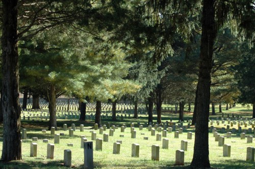 A serene cemetery scene with rows of gravestones surrounded by tall trees and lush green grass.