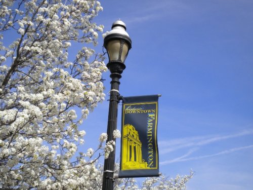 A street lamp with a banner reading "Downtown Burlington" beside blooming white flowers against a blue sky.