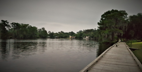 A serene lake view with a wooden walkway, surrounded by trees and a cloudy sky.