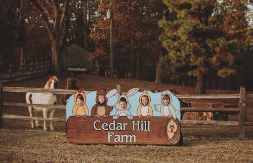 A wooden sign for Cedar Hill Farm with children in animal costumes posing behind it, surrounded by trees and horses.