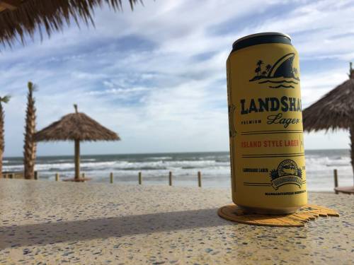 A can of Landshark Lager on a table with a beach view, palm trees, and thatched umbrellas in the background.