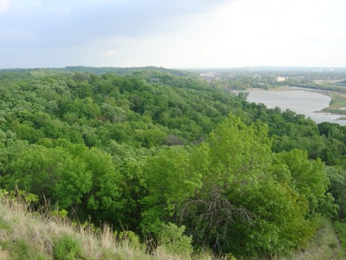 Lush green landscape with trees, a river, and distant hills under a cloudy sky.