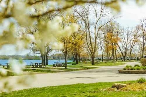 A scenic park by a lake, featuring trees, picnic tables, and blooming flowers in the foreground.